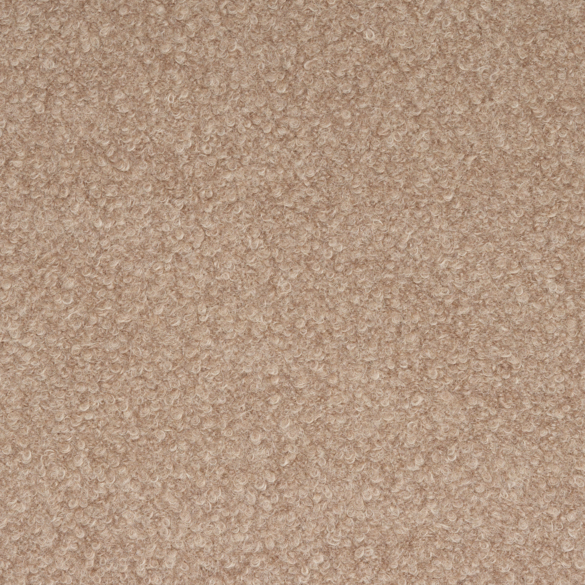 Teddy Wool Bouclé
