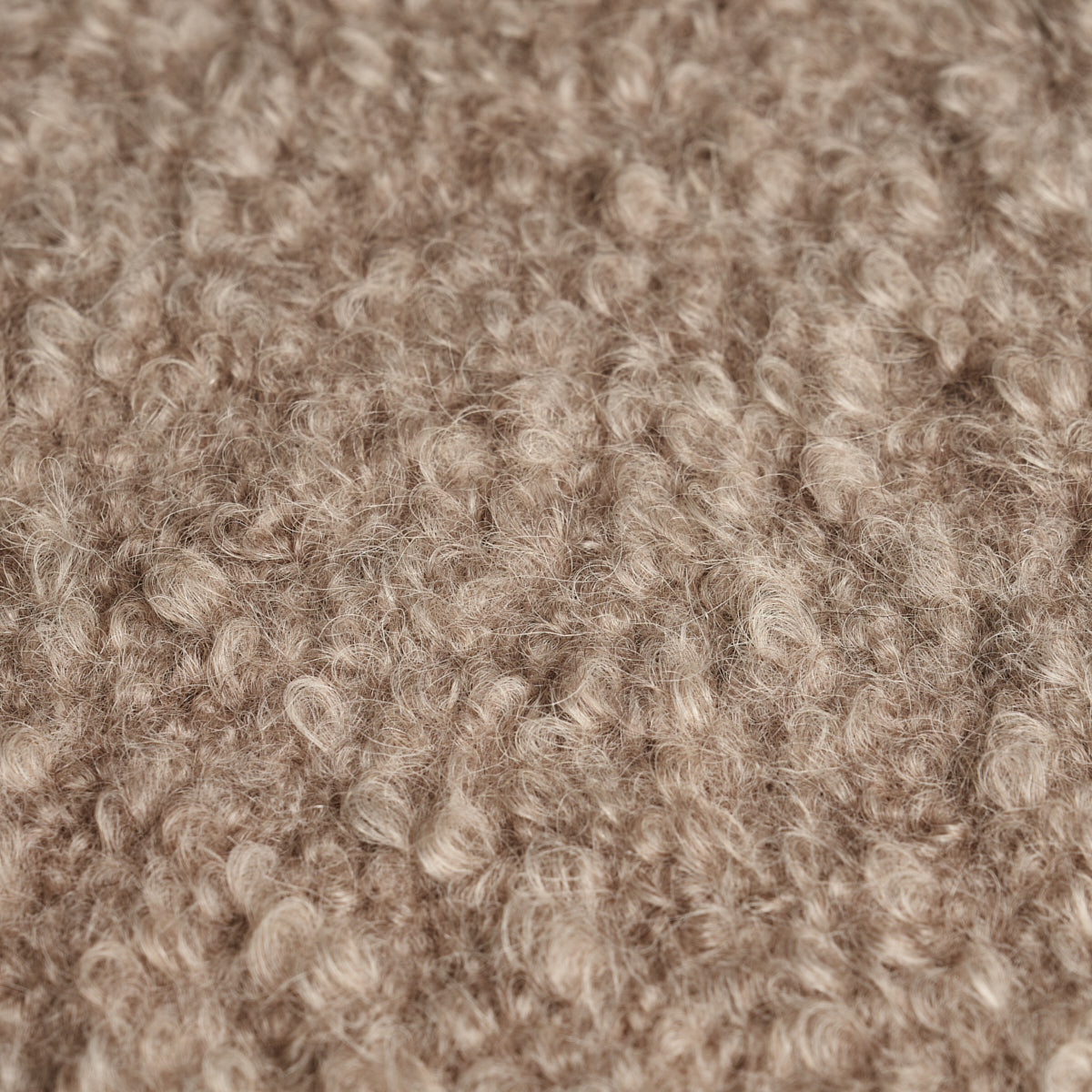 Teddy Wool Bouclé