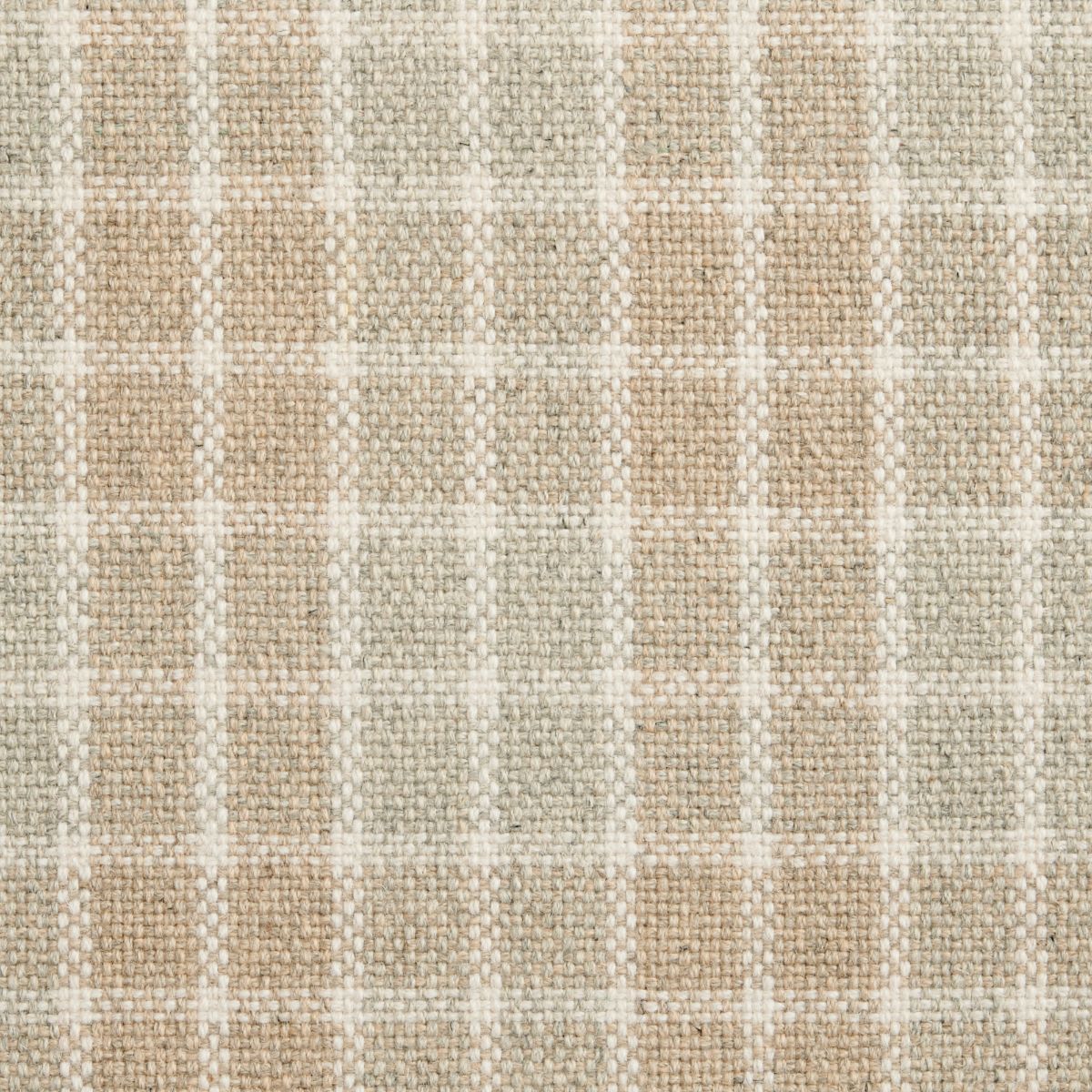 Visually Plaid
