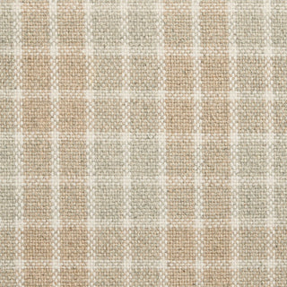 Visually Plaid