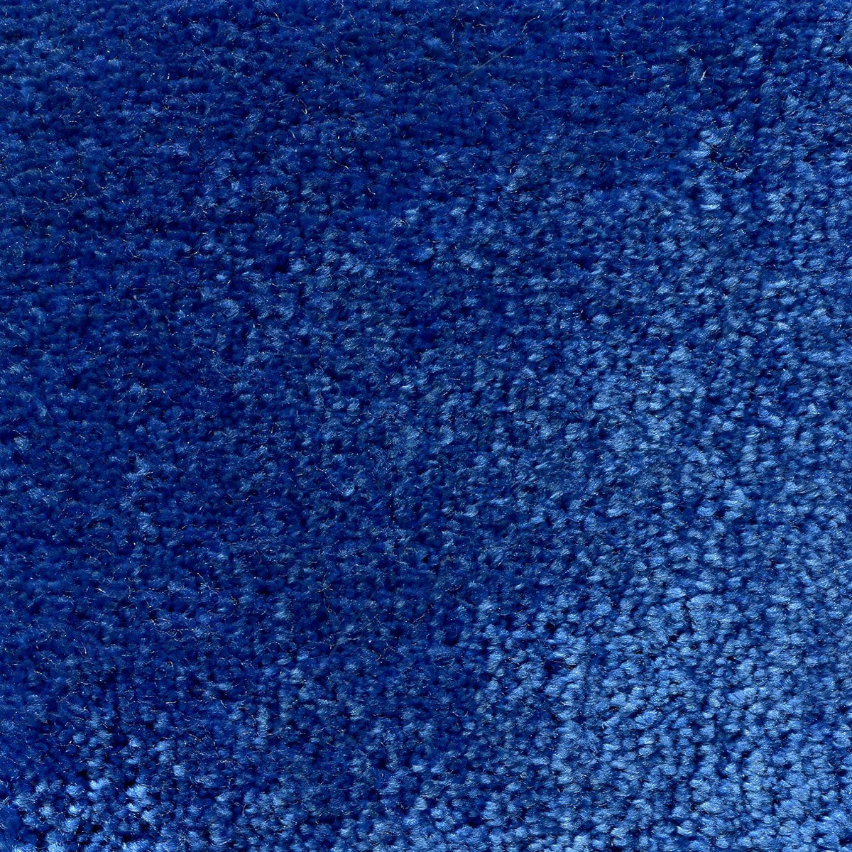 ellie_nylon_broadloom_patterson-flynn-martin_pfm