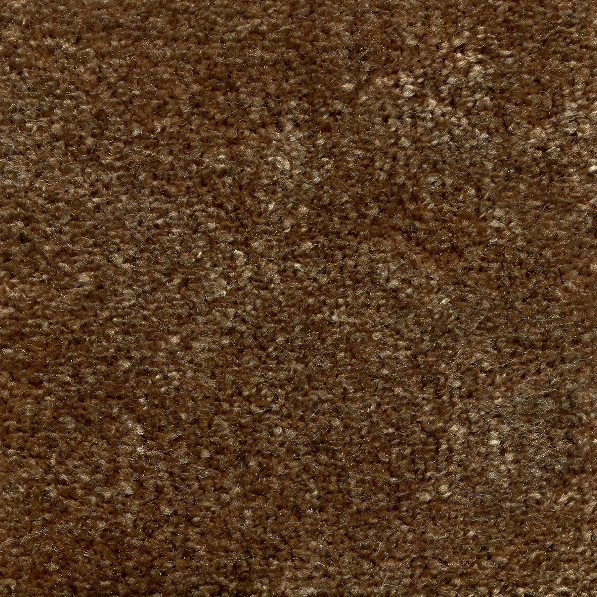 ellie_nylon_broadloom_patterson-flynn-martin_pfm