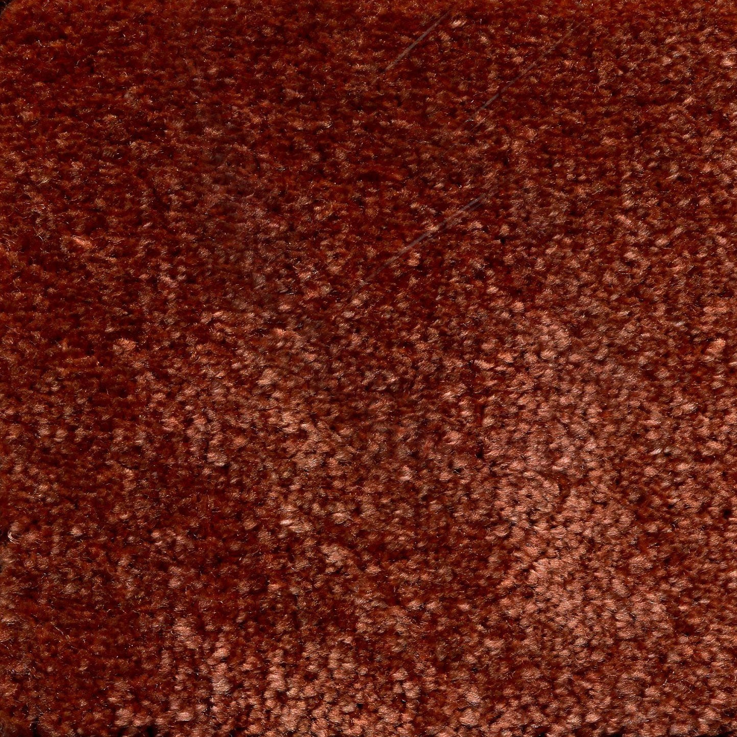 ellie_nylon_broadloom_patterson-flynn-martin_pfm