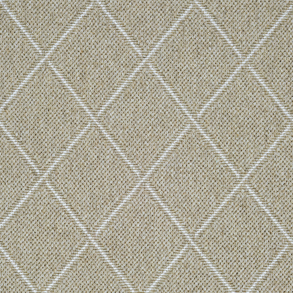 Dandy Lattice